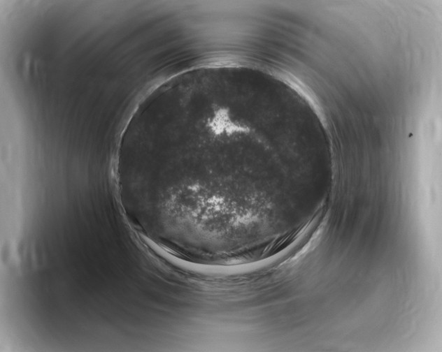 X0000095131481200712211320