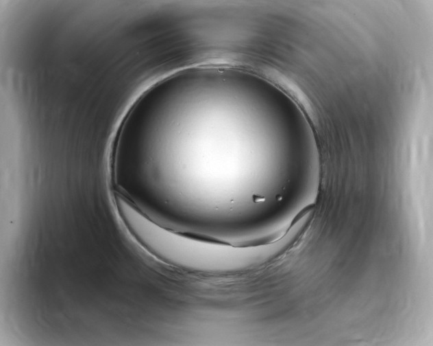 X0000095131483200712211320