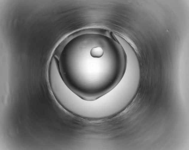 X0000095131484200712211320