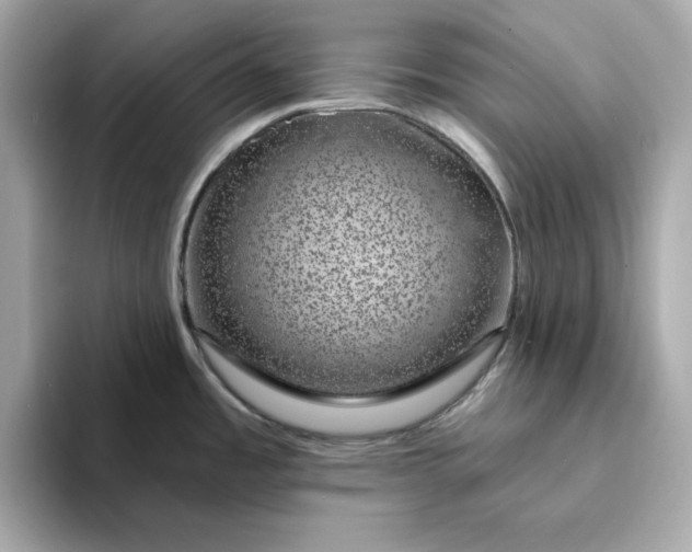 X0000095131485200712211320