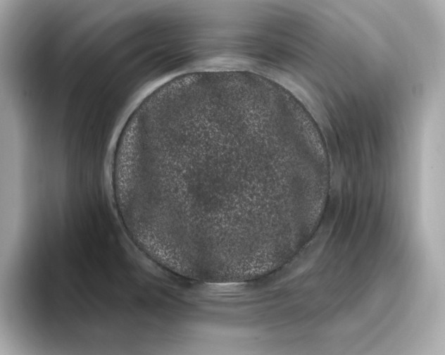 X0000095131486200712211320