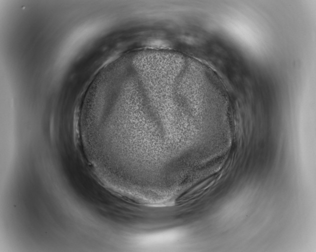 X0000095131487200712211320