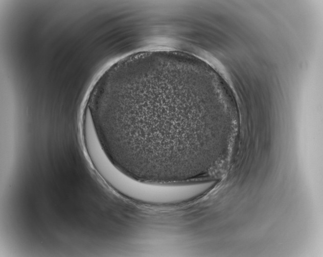 X0000095131488200712211320