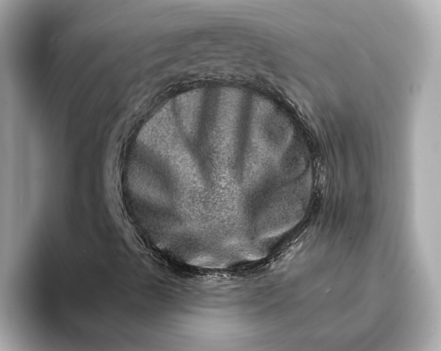 X0000095131489200712211319