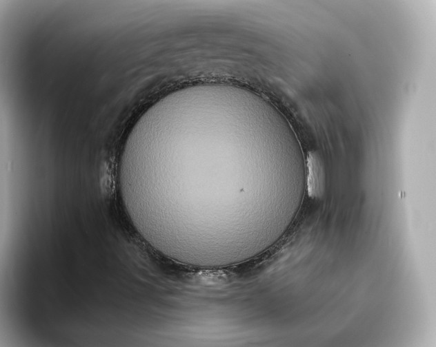 X0000095131491200712211319