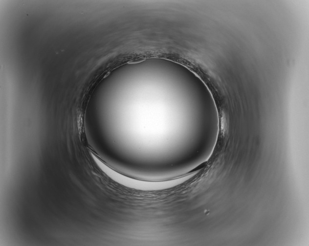 X0000095131492200712211319