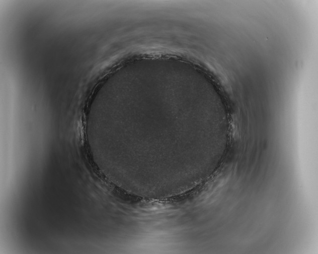 X0000095131493200712211319