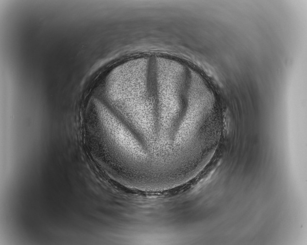 X0000095131494200712211319