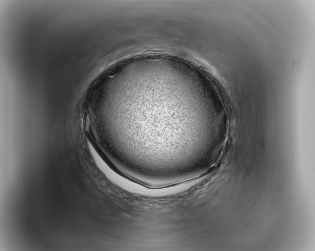 X0000095131496200712211319