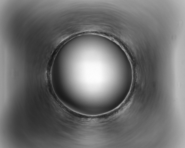 X0000095131497200712211319