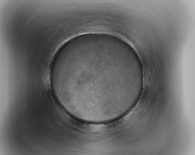 X0000095131498200712211319