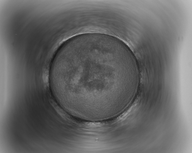 X0000095131499200712211319