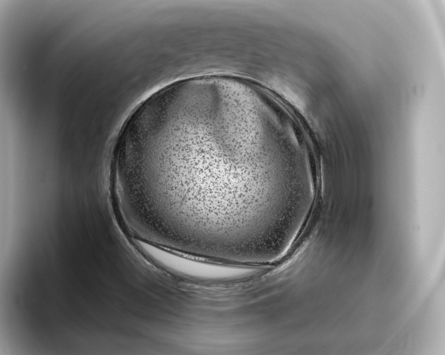 X0000095131500200712211319