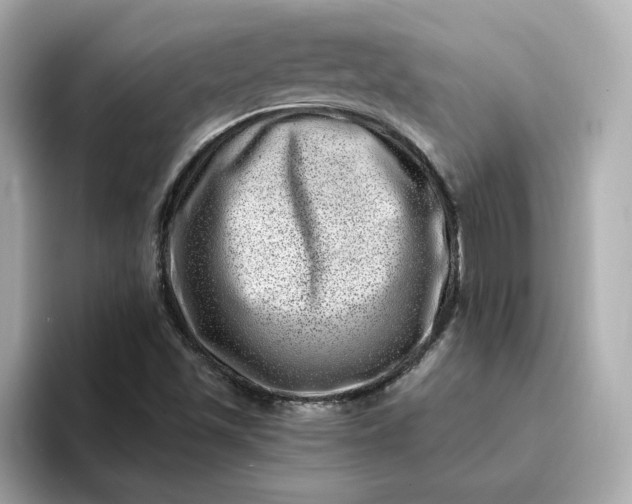 X0000095131501200712211319