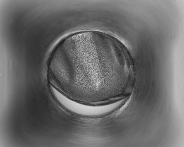 X0000095131502200712211319