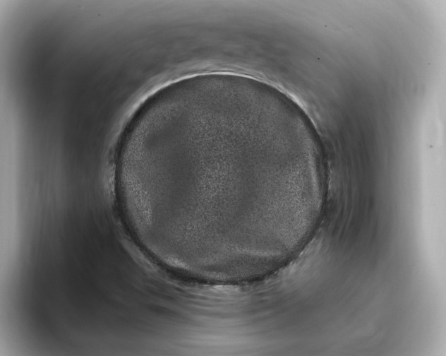 X0000095131503200712211319