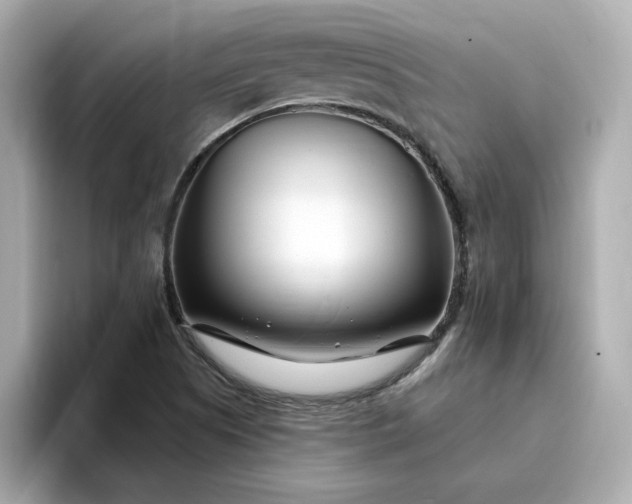 X0000095131505200712211319