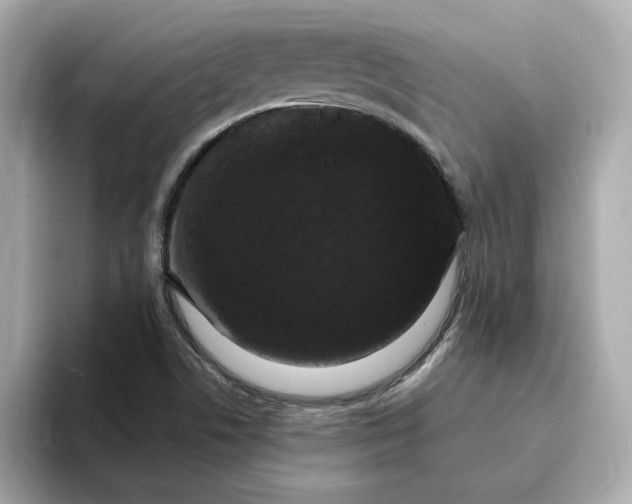 X0000095131506200712211319