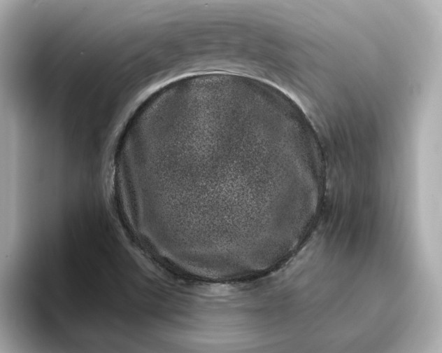 X0000095131507200712211319