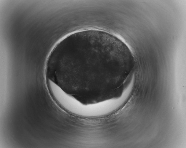 X0000095131508200712211319