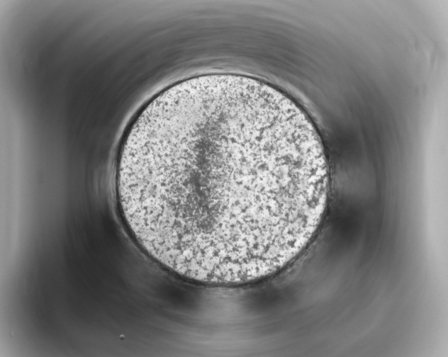 X0000095131514200712211319