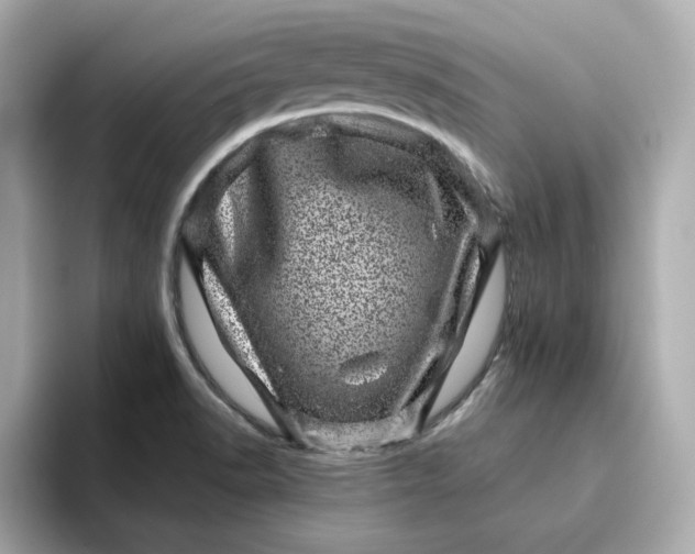 X0000095131518200712211319