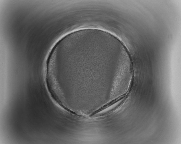 X0000095131519200712211319