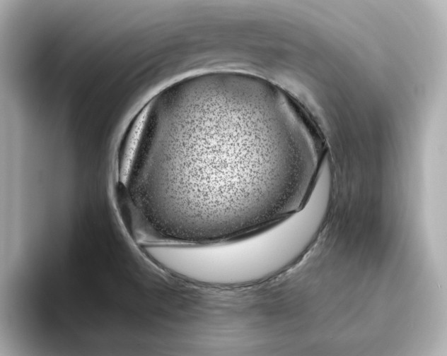 X0000095131520200712211319