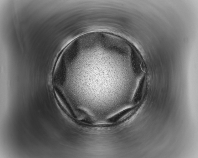 X0000095131521200712211319