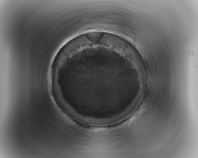 X0000095131522200712211319