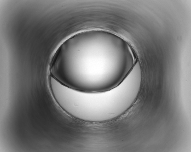 X0000095131524200712211319