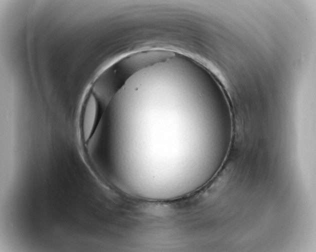 X0000095131525200712211319