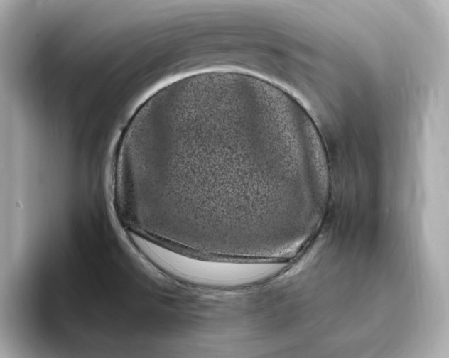 X0000095131526200712211319