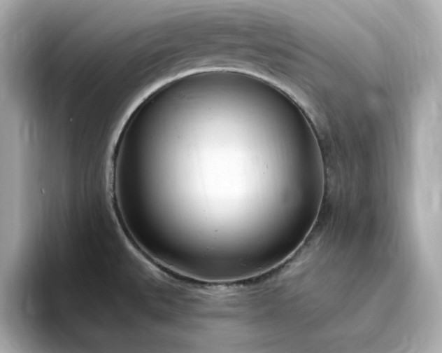 X0000095131527200712211319