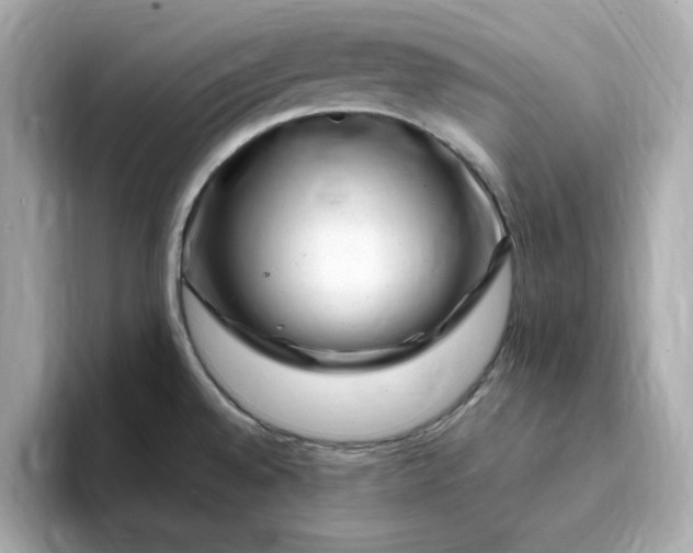 X0000095131528200712211319