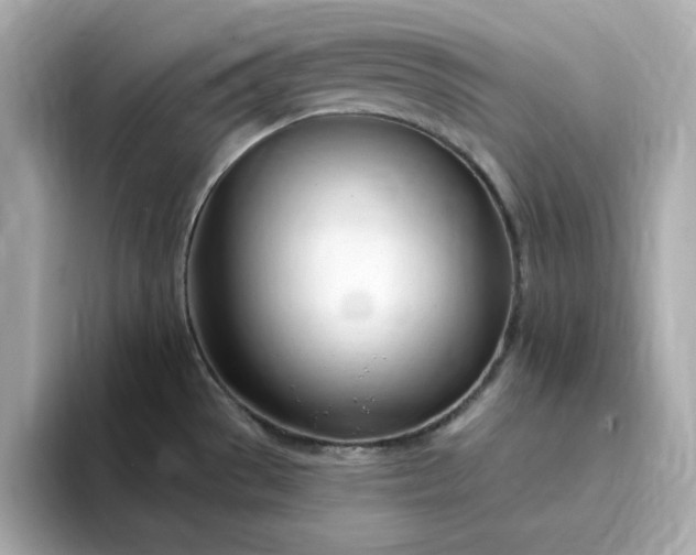 X0000095131529200712211320