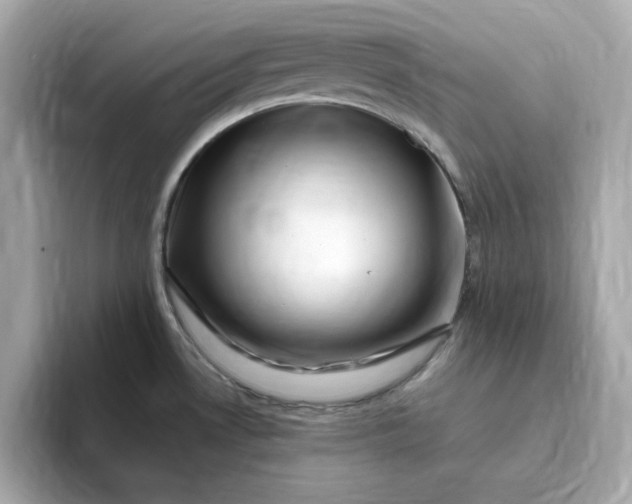 X0000095131530200712211320