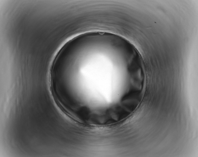 X0000095131531200712211320