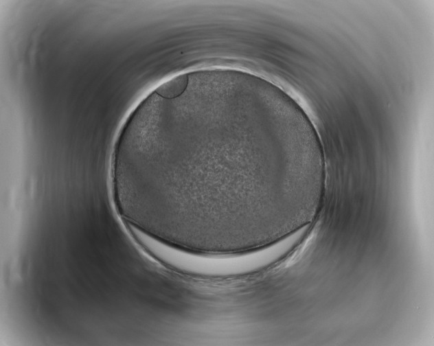 X0000095131533200712211320