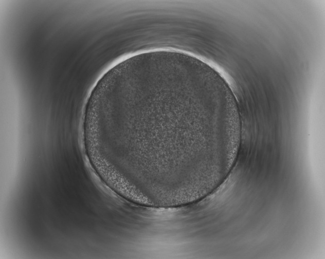 X0000095131534200712211320