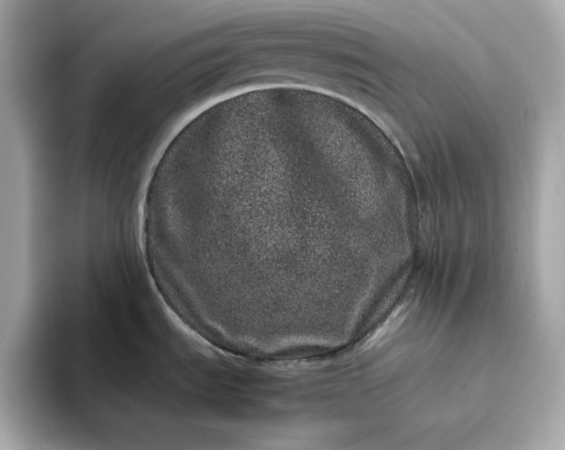 X0000095131535200712211320