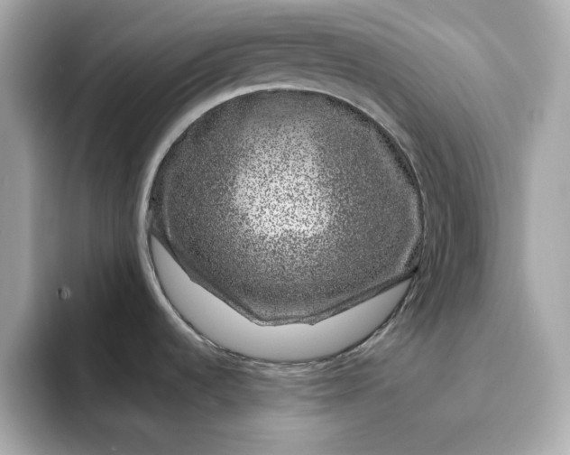 X0000095131536200712211320