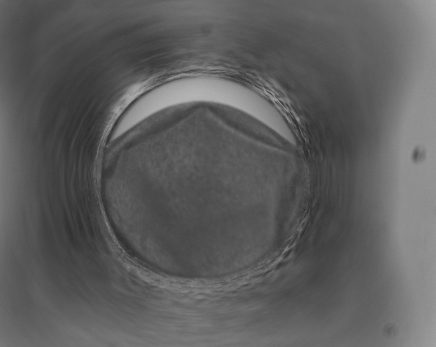 X0000095130003200712301835