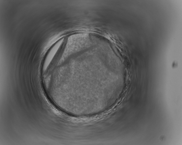 X0000095130005200712301835