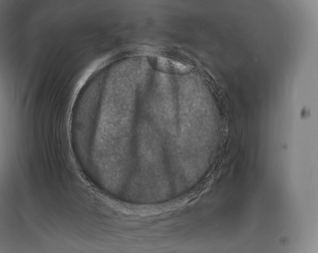 X0000095130006200712301835