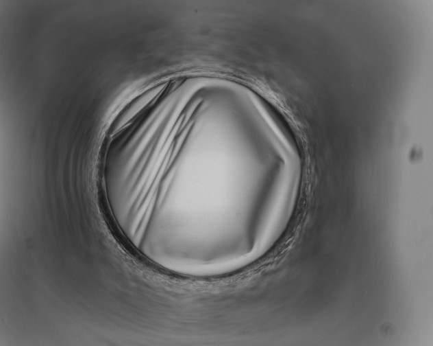 X0000095130007200712301835