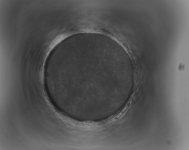 X0000095130008200712301835