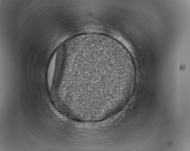 X0000095130009200712301835