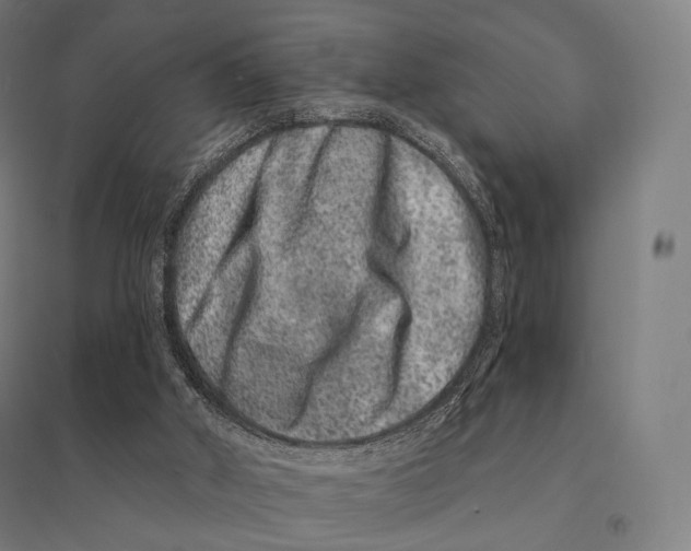 X0000095130010200712301835