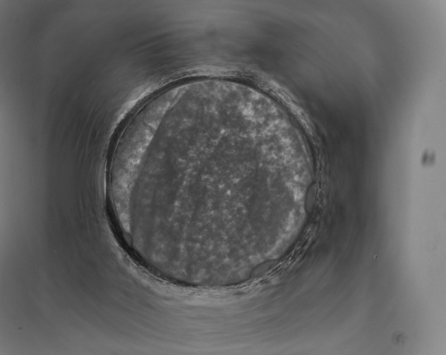 X0000095130011200712301835